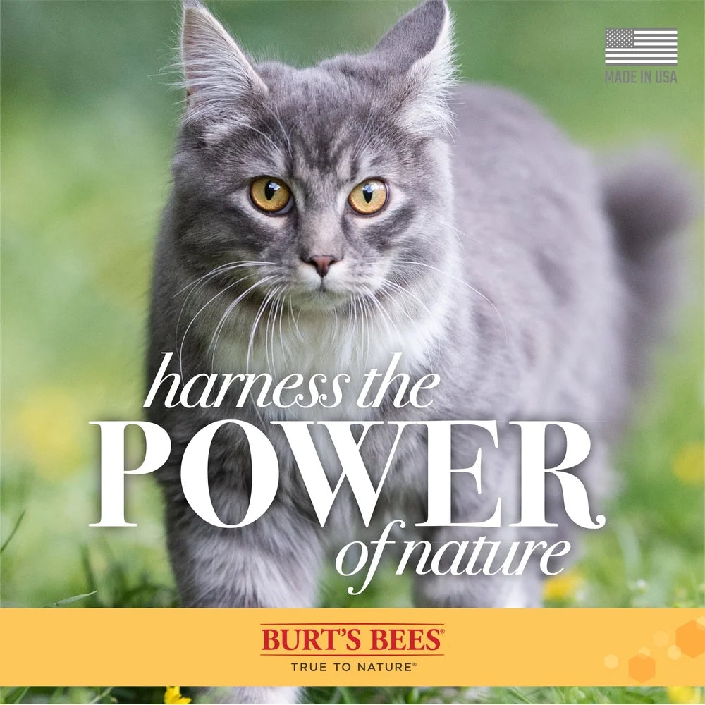 Natural Waterless Dry Shampoo Ph balanced for Cats and Kittens with Shea Butter Honey
