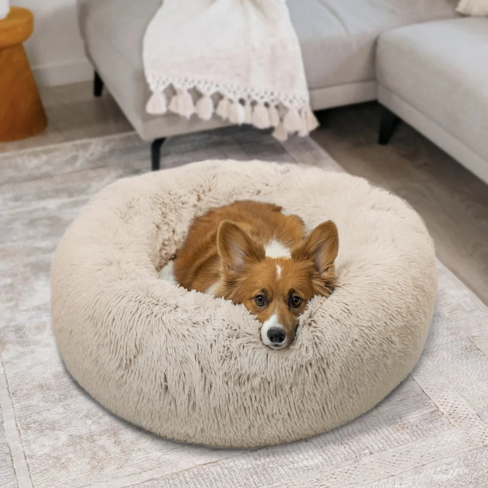 Calming Shag Cuddler Pet Bed with Throw Blanket, Machine Washable