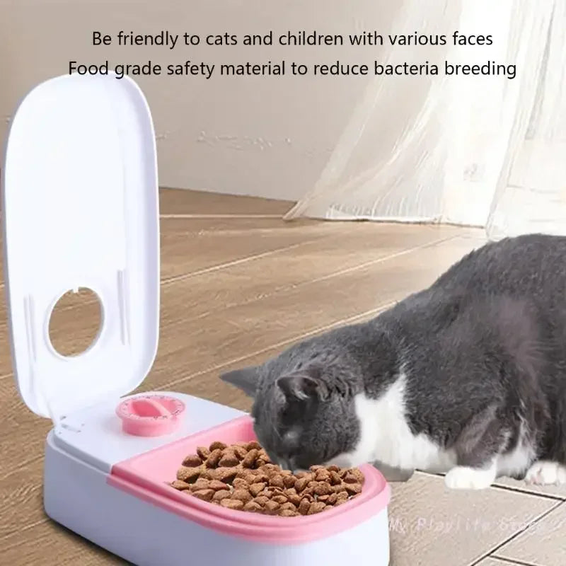Non-slip Pet Bowls with Timer, Detachable Automatic Feeding, Water Bowl for Kitten Puppy Food