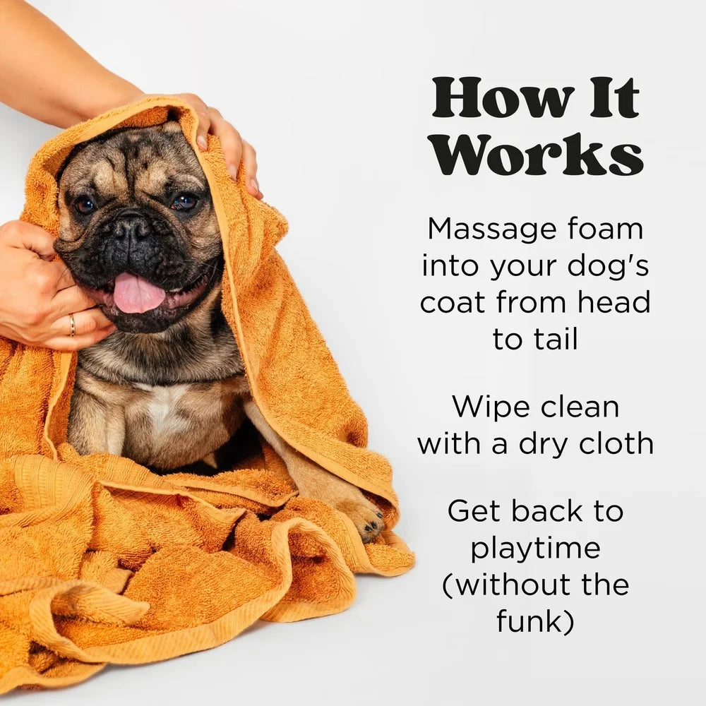 Waterless Pet Shampoo Foam Deodorizing Grooming, No Rinse Paw Cleaner Fresh Scent