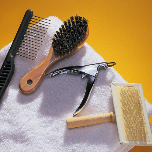 Grooming Equipment