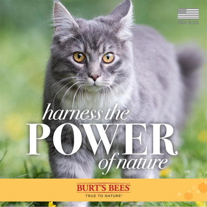 Natural Waterless Dry Shampoo Ph balanced for Cats and Kittens with Shea Butter Honey
