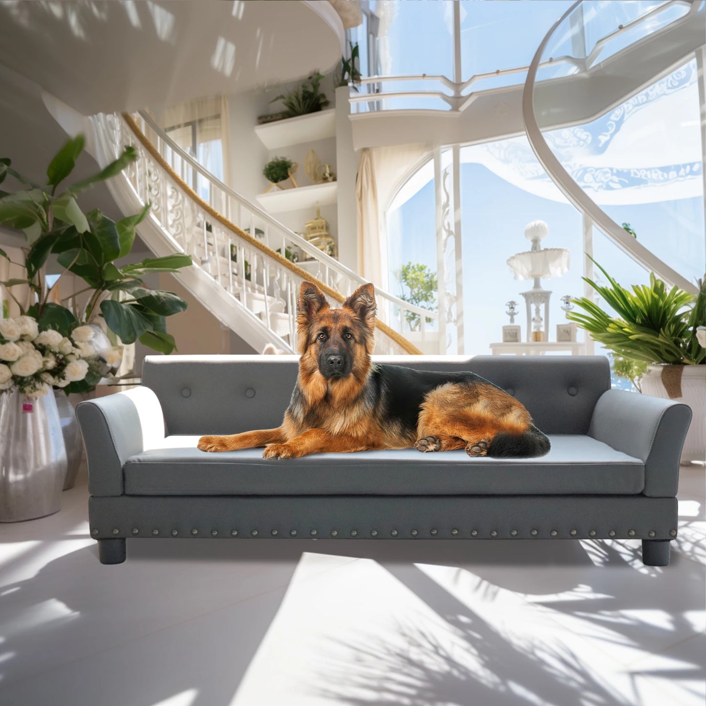 Durable Elevated Dog Sofa Bed, for Medium and Large Dogs
