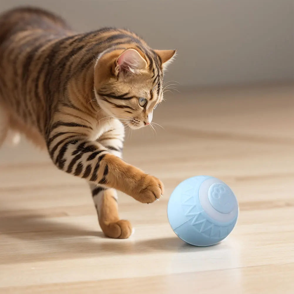 1-6pcs Automatic Rolling Ball Interactive Cat Toy Ball  ﻿