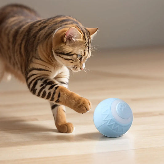 1-6pcs Automatic Rolling Ball Interactive Cat Toy Ball  ﻿