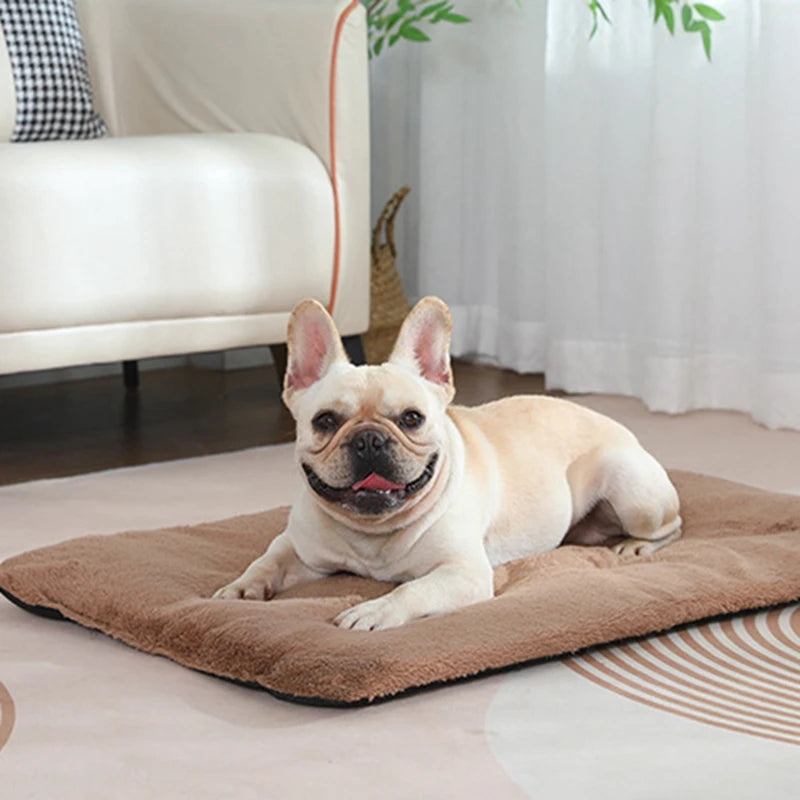 Short Plush Pet Heated Thickened Sleeping Mat, S & L