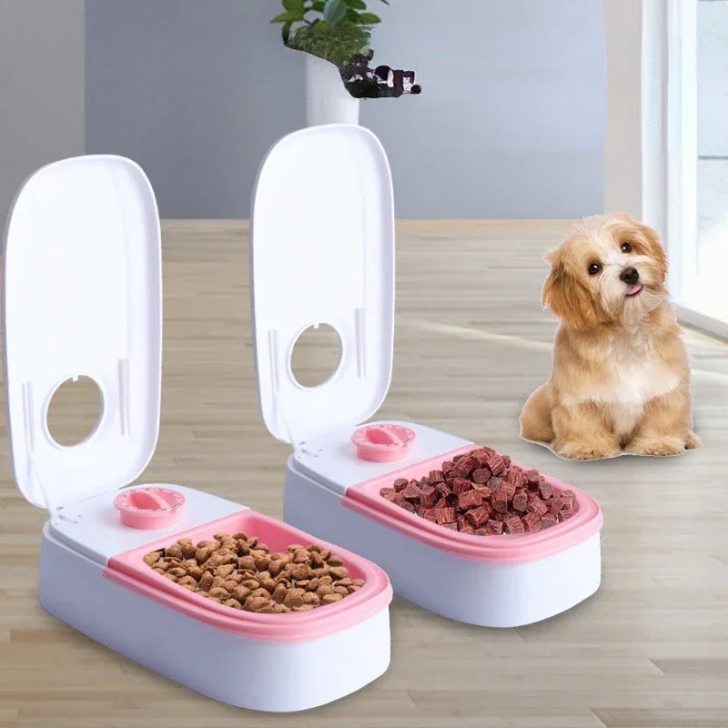 Non-slip Pet Bowls with Timer, Detachable Automatic Feeding,  Water Bowl for Kitten Puppy Food