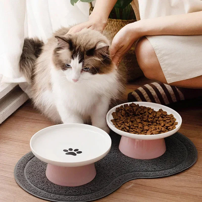 Ceramic Pet Bowls Food, Water Dish for Cats