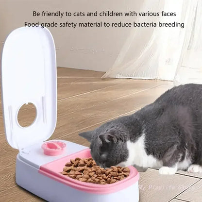 Non-slip Pet Bowls with Timer, Detachable Automatic Feeding,  Water Bowl for Kitten Puppy Food