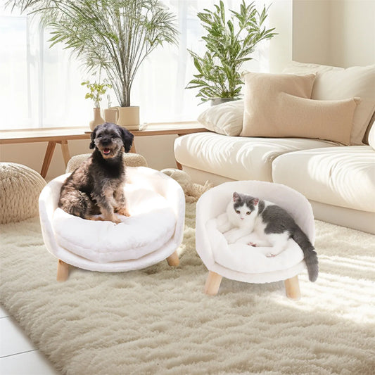Raised Cat, Small Dog Couch Bed Removable Cushion